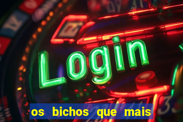 os bichos que mais saem na loteria federal